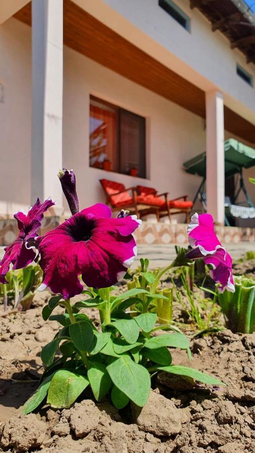Villa Casa Caraua Greci Exterior foto